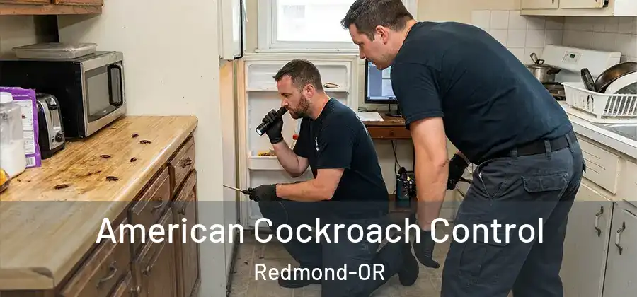 American Cockroach Control Redmond-OR