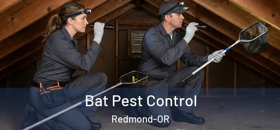 Bat Pest Control Redmond-OR