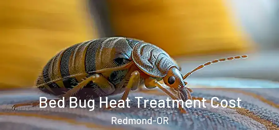 Bed Bug Heat Treatment Cost Redmond-OR
