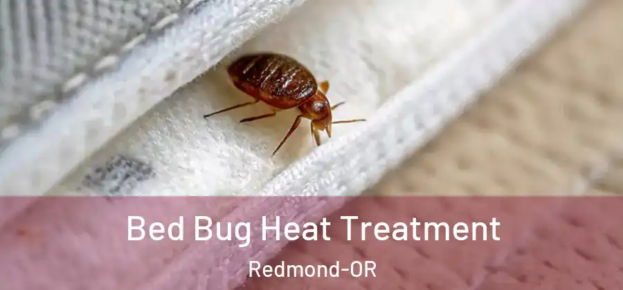  Bed Bug Heat Treatment Redmond-OR