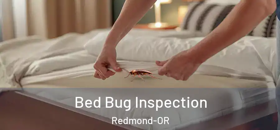 Bed Bug Inspection Redmond-OR