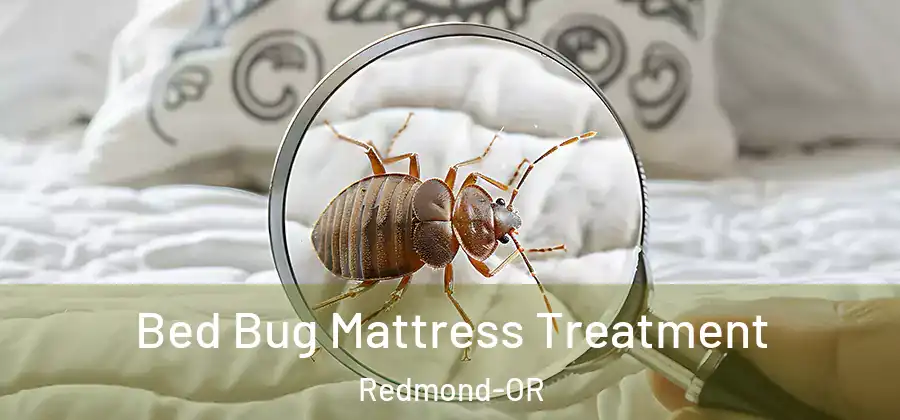 Bed Bug Mattress Treatment Redmond-OR