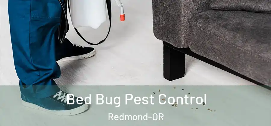 Bed Bug Pest Control Redmond-OR