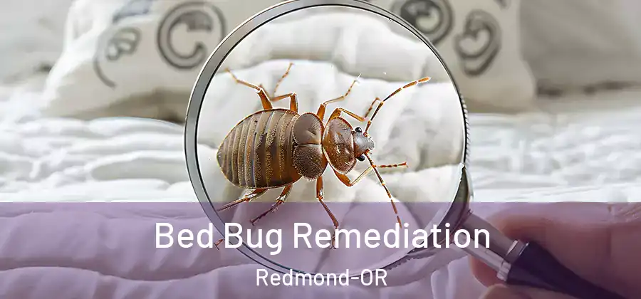 Bed Bug Remediation Redmond-OR