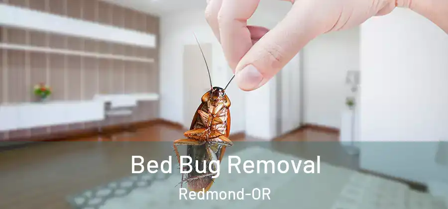 Bed Bug Removal Redmond-OR