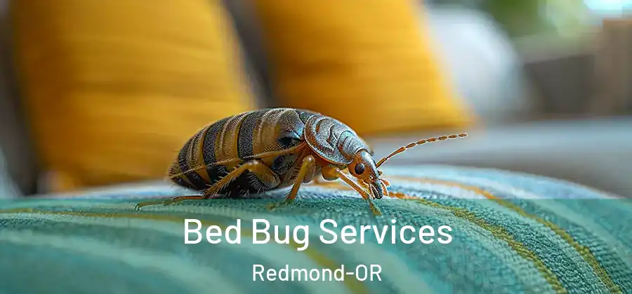 Bed Bug Services Redmond-OR