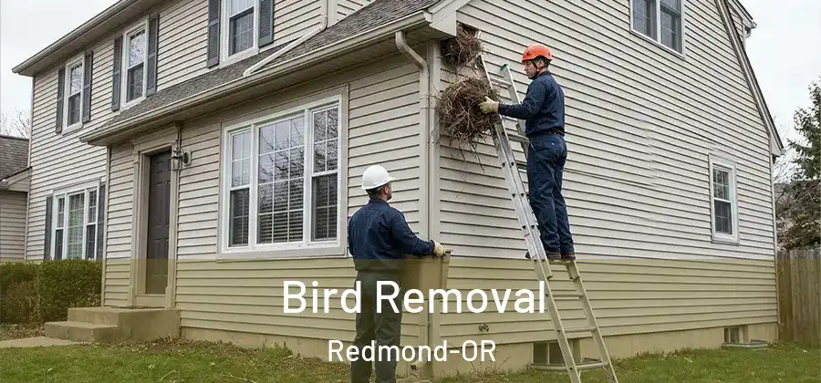 Bird Removal Redmond-OR