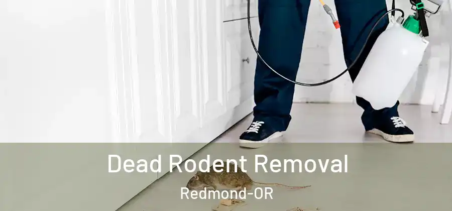  Dead Rodent Removal Redmond-OR