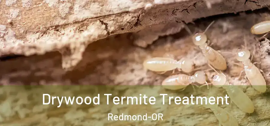 Drywood Termite Treatment Redmond-OR