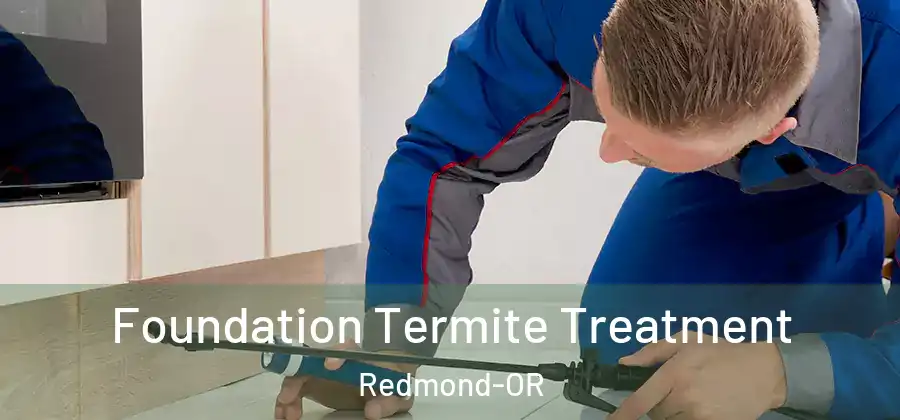 Foundation Termite Treatment Redmond-OR