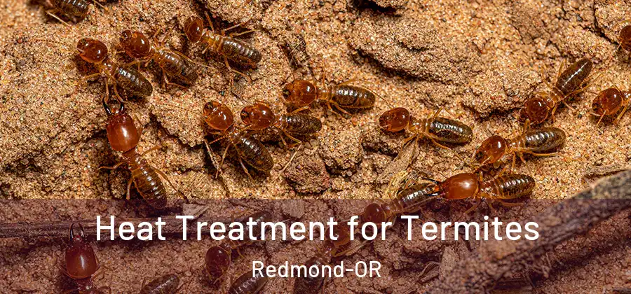Heat Treatment for Termites Redmond-OR