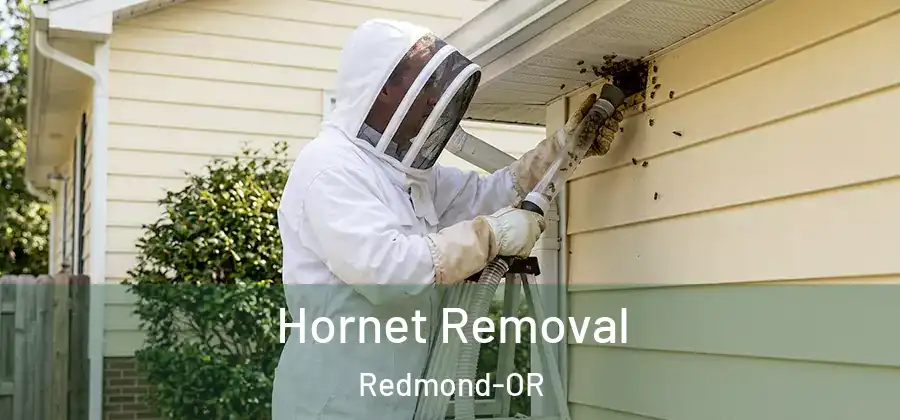 Hornet Removal Redmond-OR