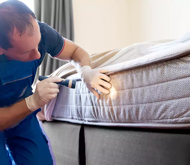 Trusted Bed Bug Cost Experts in Redmond, OR