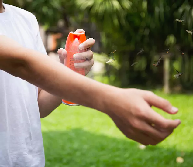Your Best Indoor Bug Killer Team in Redmond, OR