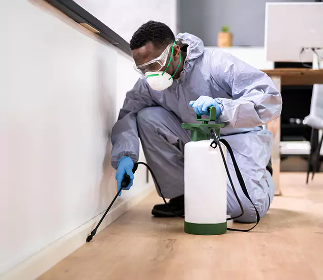 Leading Industrial Pest Control Experts Serving Redmond, OR