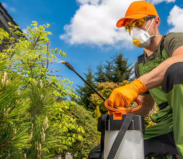 Your Best Bug Spray for Home Team in Redmond, OR