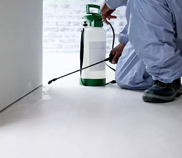 Affordable Pest Control Experts in Redmond, OR