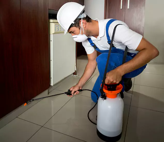 Advanced Termite Pre Treatment Experts in Redmond, OR