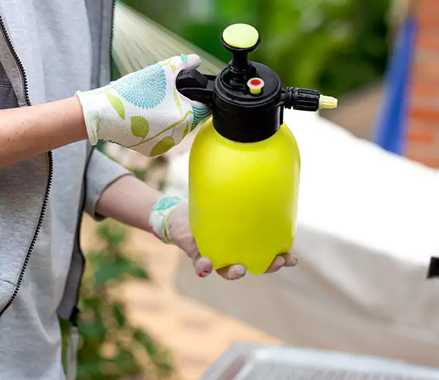 Skilled Residential Small Black Ant Service in Redmond, OR
