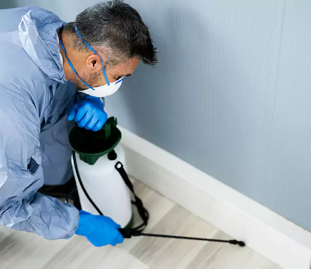 Reliable Termite Cost Experts in Redmond, OR