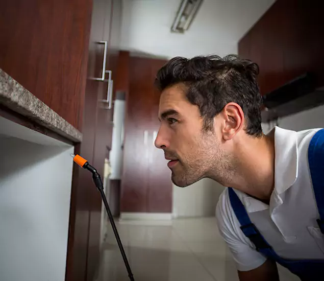 Termite Inspection Cost Experts You Can Trust in Redmond, OR