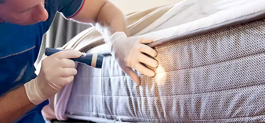 Residential Bed Bug Treatment Cost in Redmond