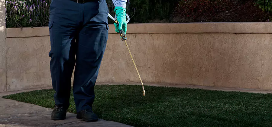 Soil Treatment for New Construction Termites in Redmond