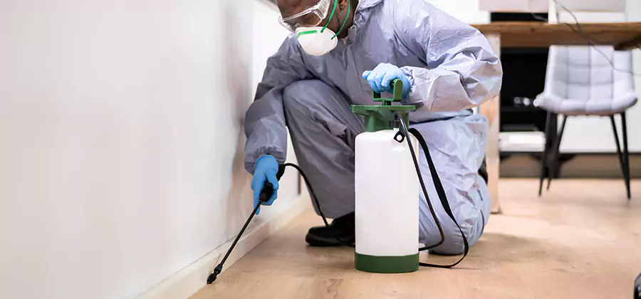 No Tent Termite Extermination With Electric Tool in Redmond