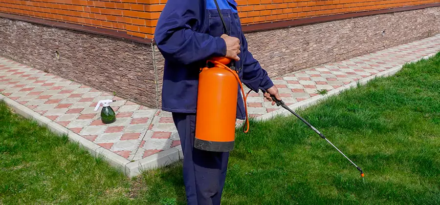 Non Toxic Termite Treatment in Redmond