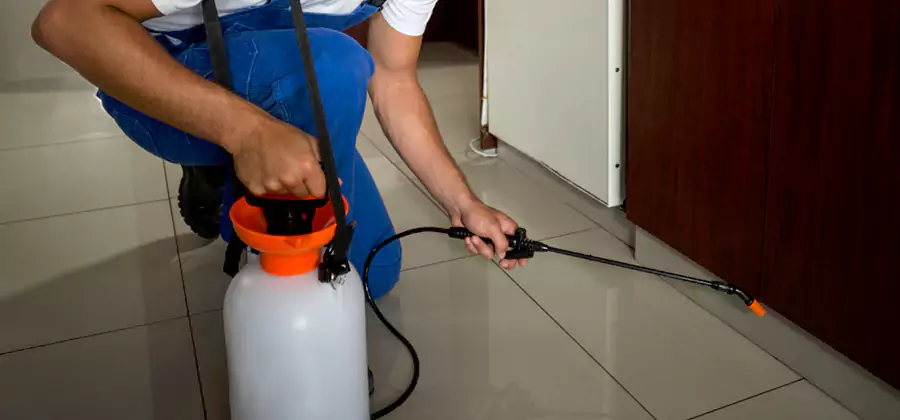 One Time Termite Control in Redmond