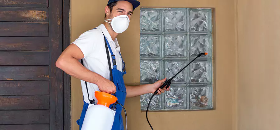 Pre-Construction Termite Treatment in Redmond