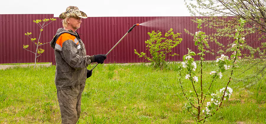 Flea and Tick Spray for Yard in Redmond