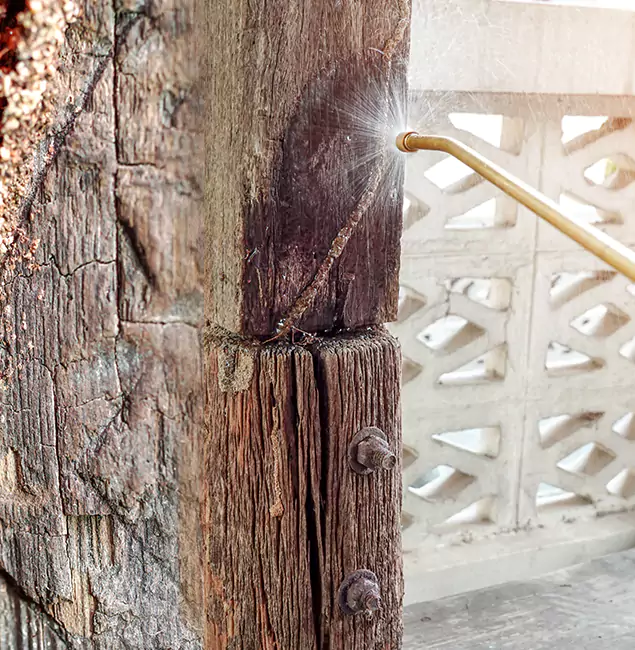 Why Choose Redmond Pest Control Pro for Attic Termite Treatment in Redmond, OR?
