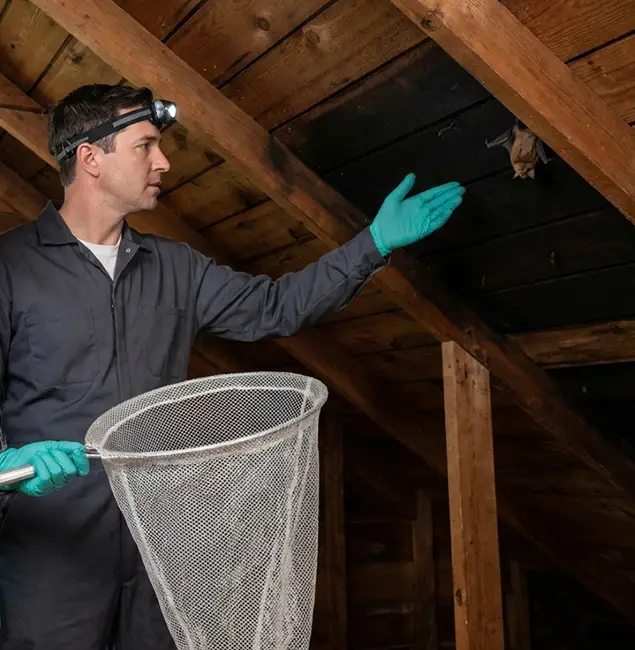 Why Redmond Pest Control Pro Is the Right Choice in Redmond, OR?