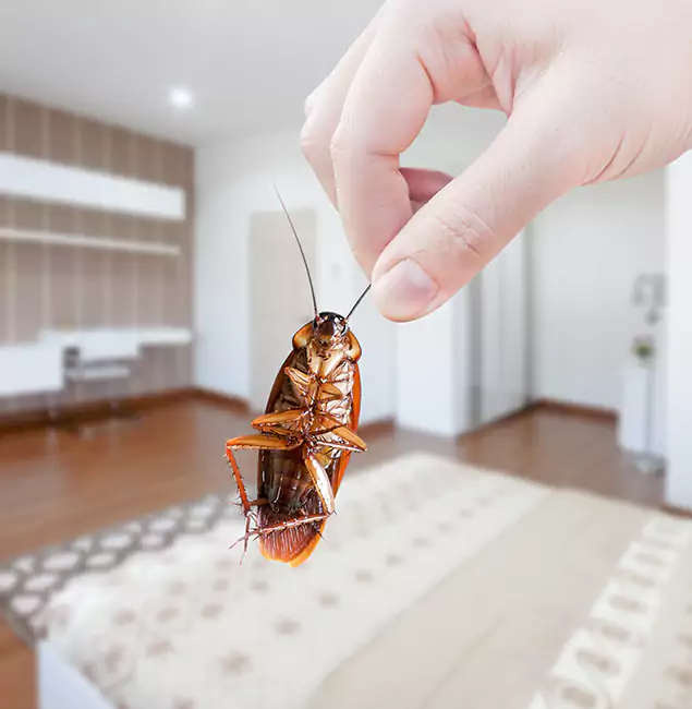 Why Redmond Pest Control Pro Stand Out for Bed Bug Fumigation in Redmond, OR?