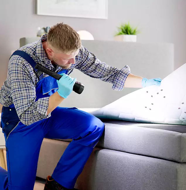 Why Choose Redmond Pest Control Pro For Bed Bug Heat Treatment in Redmond, OR?