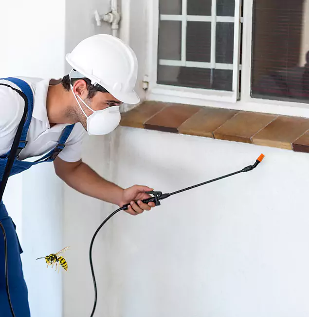 Why Redmond Property Owners Choose Redmond Pest Control Pro for Bee Nest Removal?