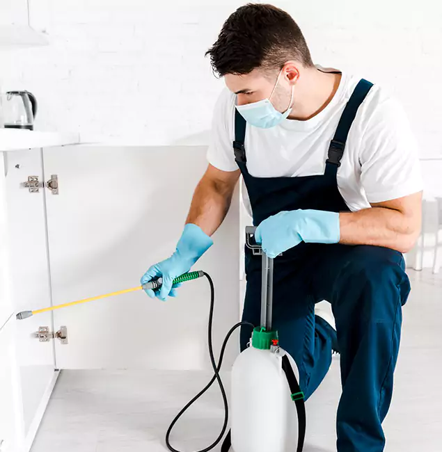 Why Choose Redmond Pest Control Pro for Emergency Pest Control in Redmond?