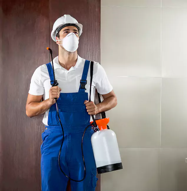 Why Choose Us for Heat Treatment for Termites in Redmond, OR?