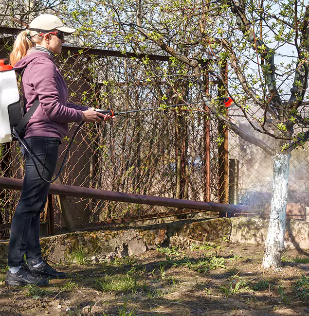 Why Redmond Homeowners Choose Redmond Pest Control Pro for Mosquito Abatement?
