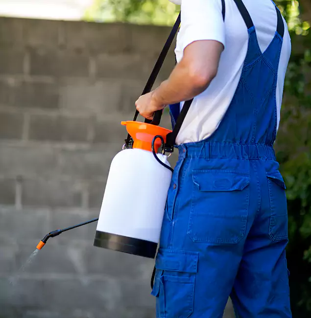 Why Redmond Pest Control Pro Delivers the Best Mosquito Control in Redmond, OR?