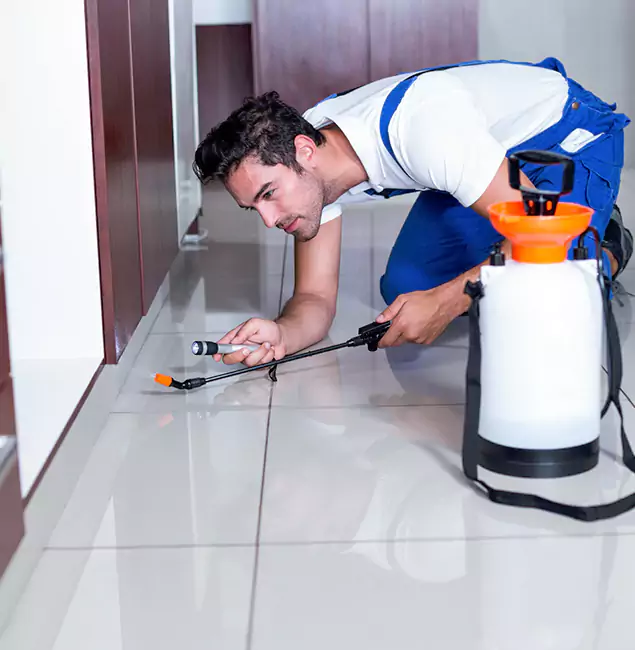 Why Redmond Pest Control Pro Is the Proven Choice in Redmond, OR?