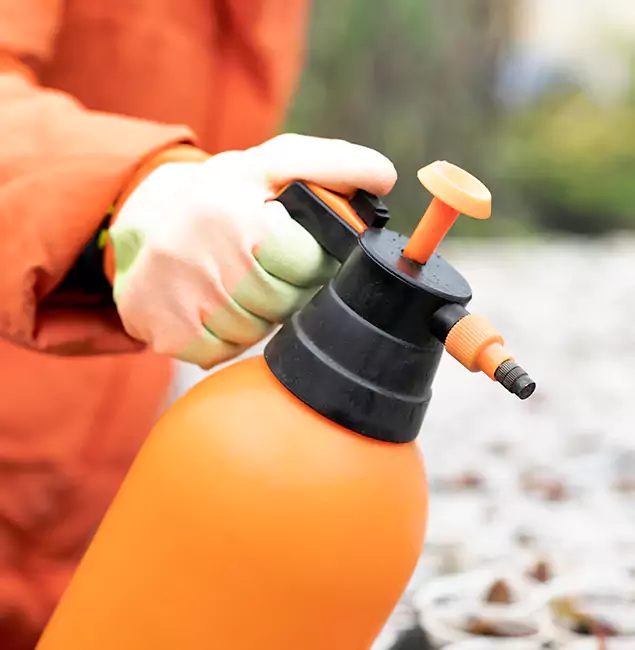 Why Choose Redmond Pest Control Pro for Orange Termite Treatment in Redmond, OR?