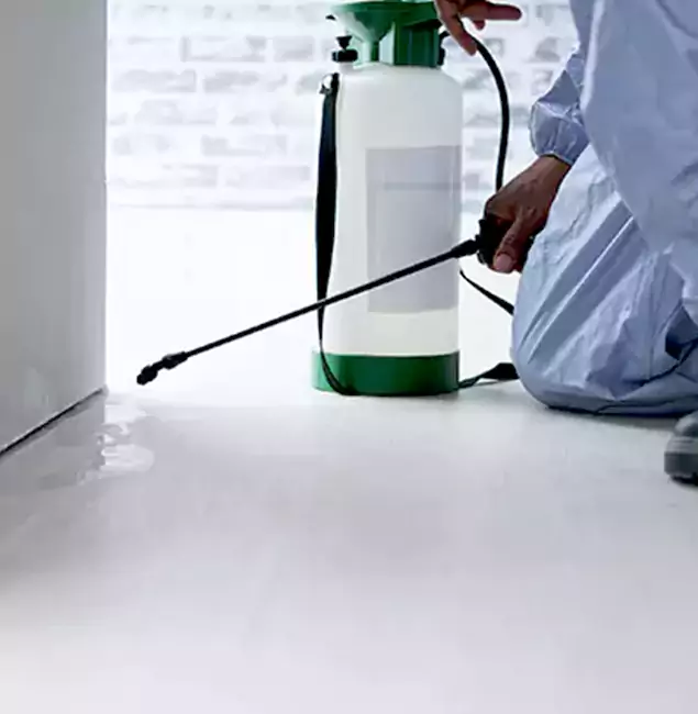 Why Choose Redmond Pest Control Pro for Rat Exterminator in Redmond, OR?