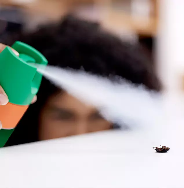 Why Redmond, OR Homeowners Choose Redmond Pest Control Pro for Roach Pest Control?