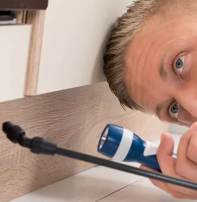 Why Choose Redmond Pest Control Pro for Rodent Exterminator in Redmond, OR?