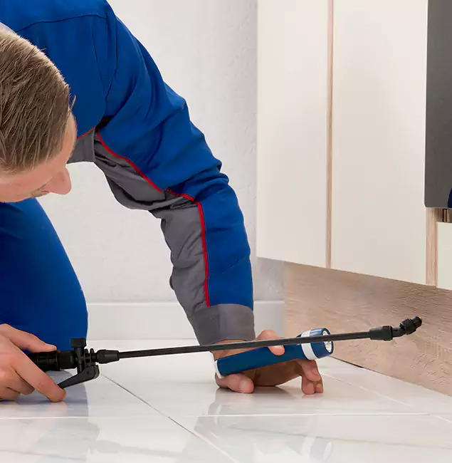 Why Redmond Residents Choose Redmond Pest Control Pro to Get Rid of Sugar Ants?