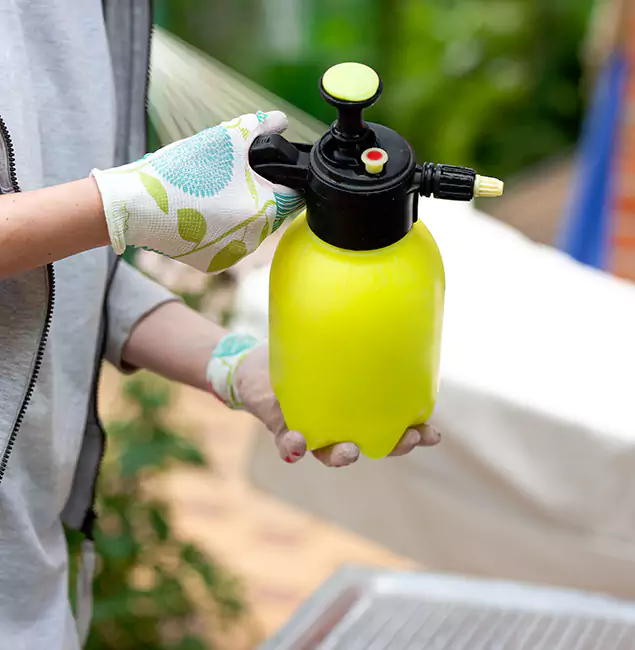 Why Choose Us: Redmond Pest Control Pro Termite Spraying Experts in Redmond, OR?