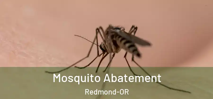 Mosquito Abatement Redmond-OR