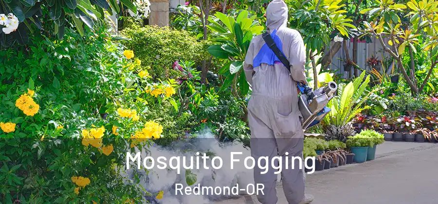Mosquito Fogging Redmond-OR